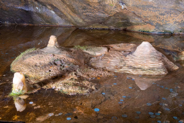 Gough's cave in Cheddar Stalagmites in a rock pool in Gough's cave in Cheddar. cheddar gorge stock pictures, royalty-free photos & images