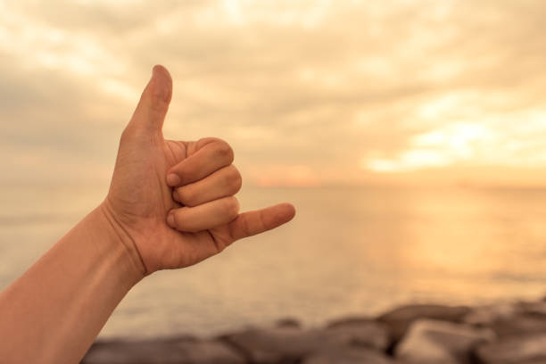 istock Shaka hand sign on ocean background. 1175112333