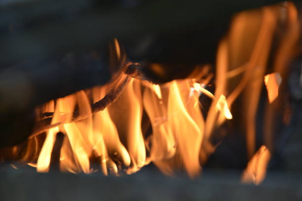 istock Firewood in the flames under the barbecue grill 1175113859