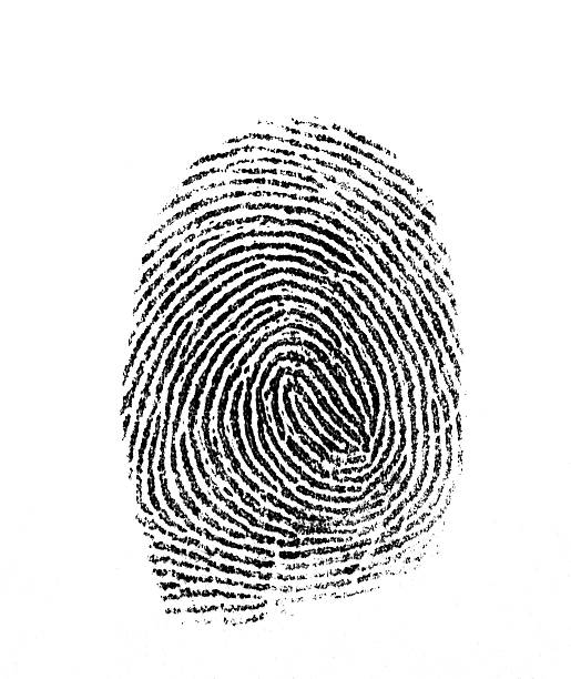 istock Fingerprint photographed on white background 117511423