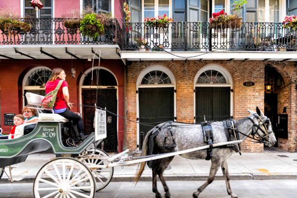 rua de dumaine da baixa na cidade histórica de louisiana com carro do cavalo guia turístico guiado, povos que sentam-se e que montam no buggy - 11917 - fotografias e filmes do acervo