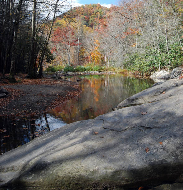 istock Autumn in the Appalachians 1175118351