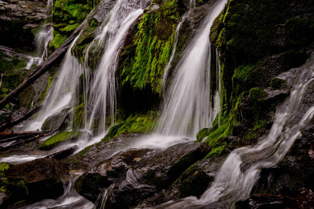 istock Cut shot of a waterfall 1175118373