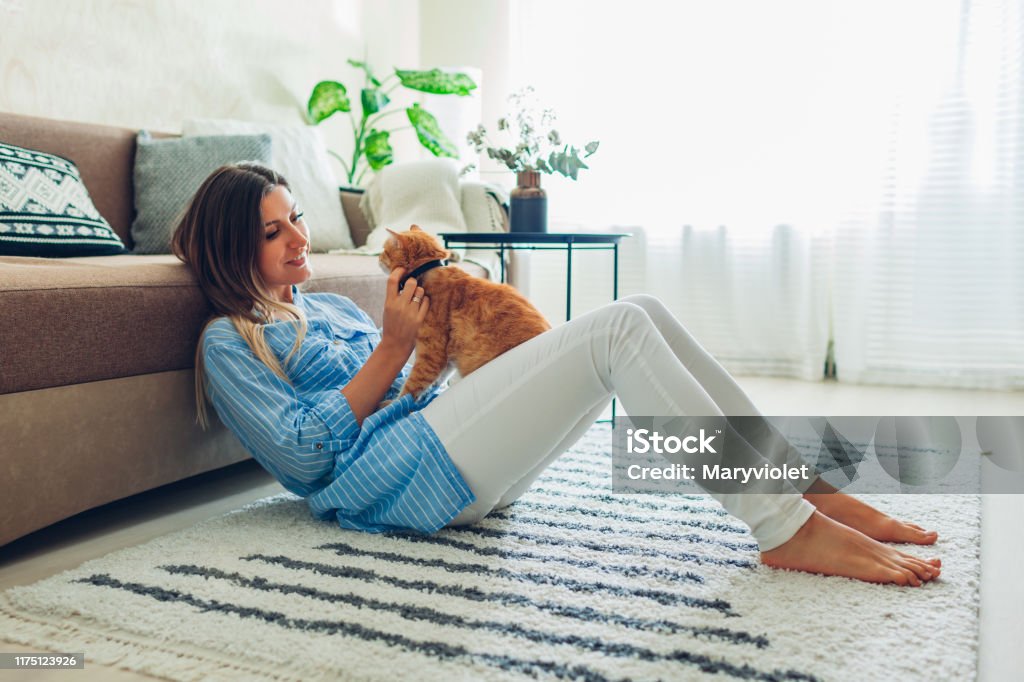 Playing with cat at home. Young woman sitting on carpet and hugging pet. Playing with cat at home. Happy young woman sitting on carpet and hugging pet. Feeling cozy speding time with ginger kitten Domestic Cat Stock Photo