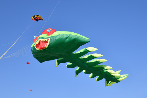 Kite festival. Kites in the sky at the beach of Atlantic ocean