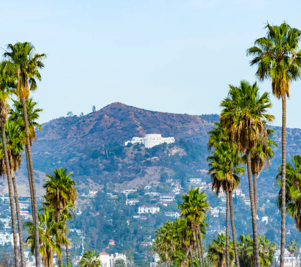 istock Griffith Park in Los Angeles 1175127945