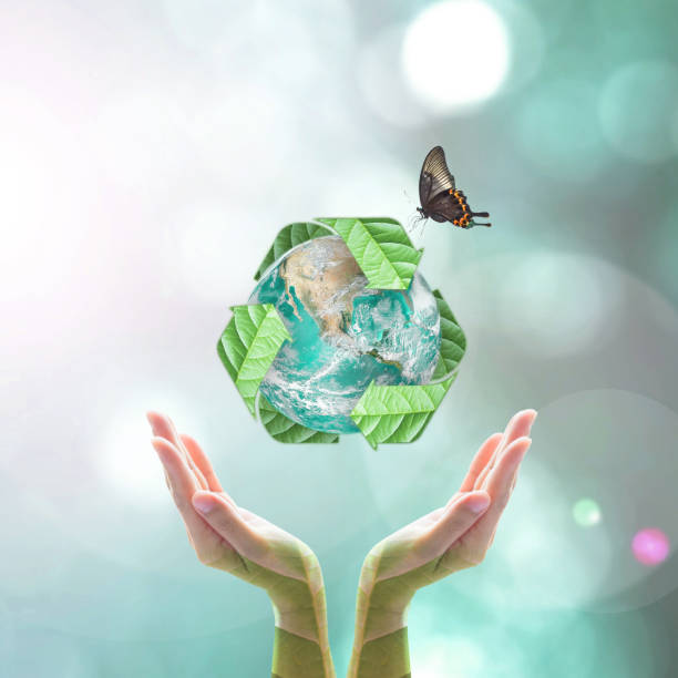 istock Waste recycle management, eco friendly, go green ecology concept with woman's hand supporting world planet protected by natural green leaves with butterfly: Elements of this image furnished by NASA 1175129938