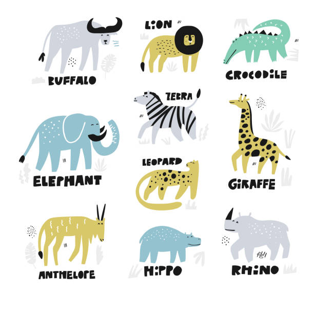 African Animals Hand Drawn Characters Set Stock Illustration - Download  Image Now - Zoo, Africa, Animal - iStock