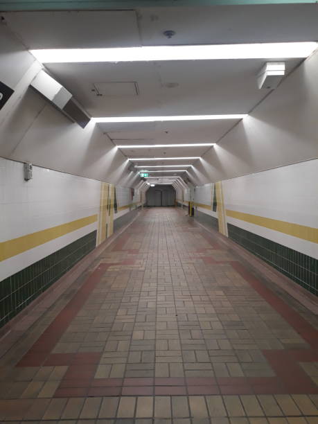 istock Tunnel in Central station in Sydney 1175133596