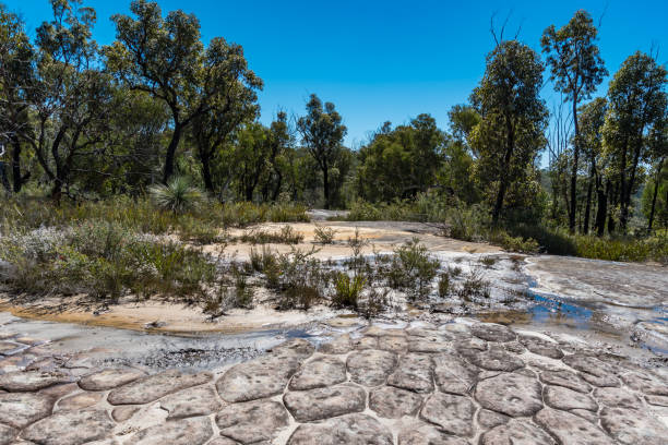 istock Tessellated Pavement and Bush Landscape 1175136215