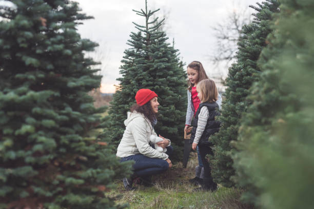 istock Mom and daughters at a Christmas tree farm 1175136295