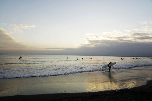 istock Surfers in the evening of backlight 1175138539