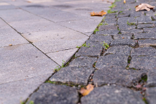 istock old stoneblock pavement cobbled with square granite blocks with grass sprouted at autumn. background, nature. 1175139382