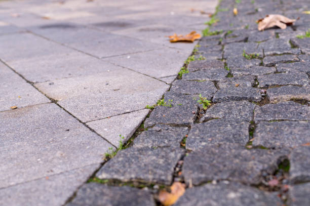 istock old stoneblock pavement cobbled with square granite blocks with grass sprouted at autumn. background, nature. 1175139391