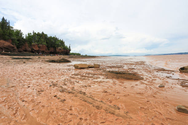 hopewell rocks, bay of fundy - horizontal nova scotia bay of fundy bay imagens e fotografias de stock