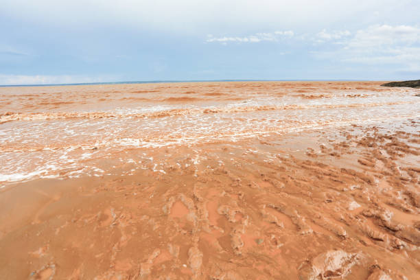 hopewell rocks, bay of fundy - horizontal nova scotia bay of fundy bay imagens e fotografias de stock