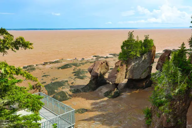 Photo of Hopewell Rocks, Bay of Fundy