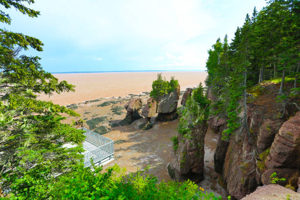 hopewell rocks, bay of fundy - horizontal nova scotia bay of fundy bay imagens e fotografias de stock