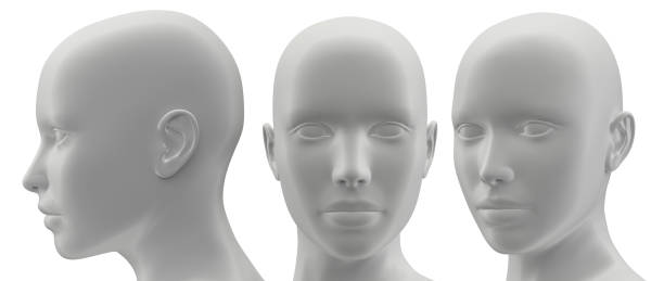 istock 3d rendering illustration of face human collection 1175147548