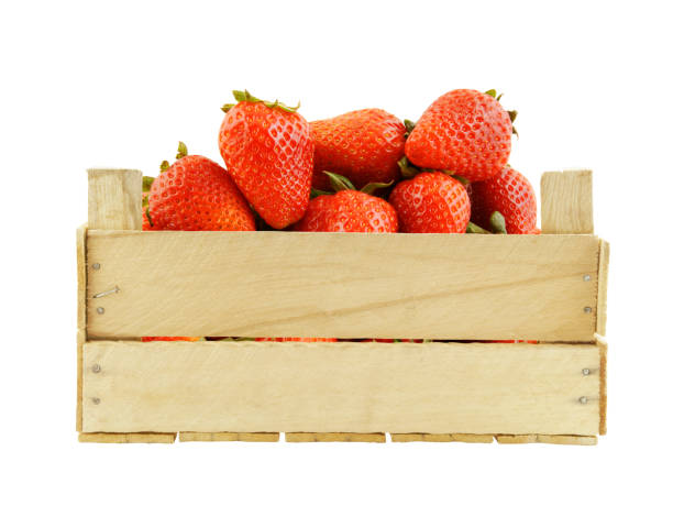 istock Fresh strawberries in wooden box isolated 1175150329