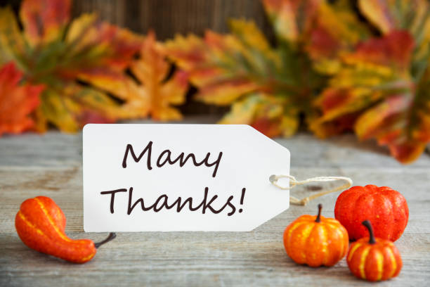 istock Label With Text Many Thanks, Pumpkin And Leaves 1175151347