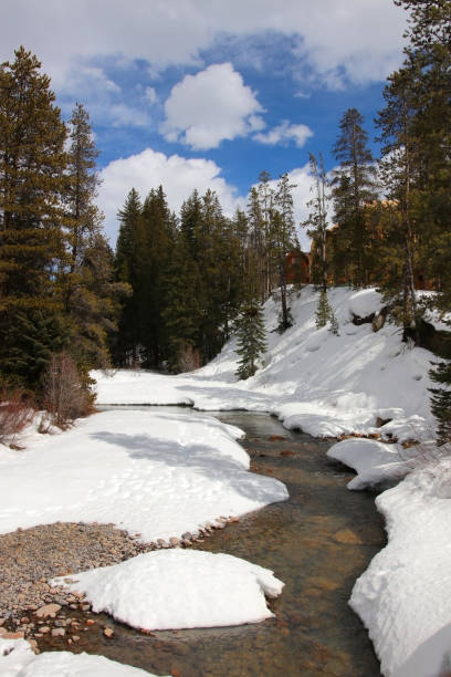 istock Colorado snowy early spring beautiful nature background. 1175154646