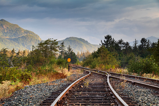 Railway tracks in the park. View from above. Railway line.