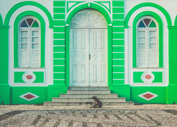 Dog Standing in front of the Town Hall, Paço Munipal - Canavieiras, Bahia, Brazil. Historic city architecture