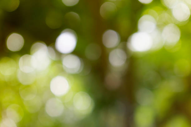 istock Background, yellow green leaves, beautiful blur 1175158908