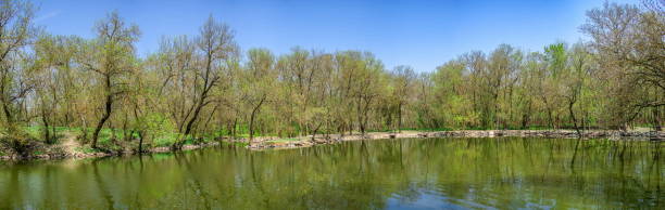 istock Lake in the reserve Askania-Nova in Ukraine 1175159455