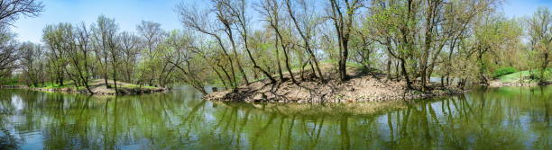 istock Lake in the reserve Askania-Nova in Ukraine 1175159461