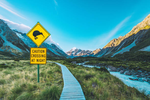 クック山国立公園に通じるトレイル上のキウイ鳥の警告サイン - wadi warning ストックフォトと画像