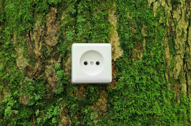 istock Green nature energy concept 1175161463