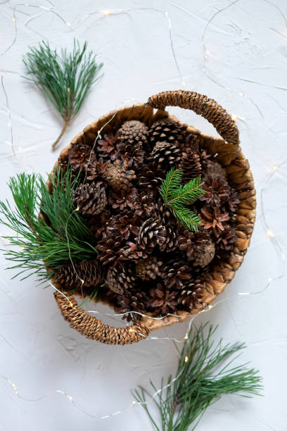 istock Christmas Natural Decoration On White Background 1175163873