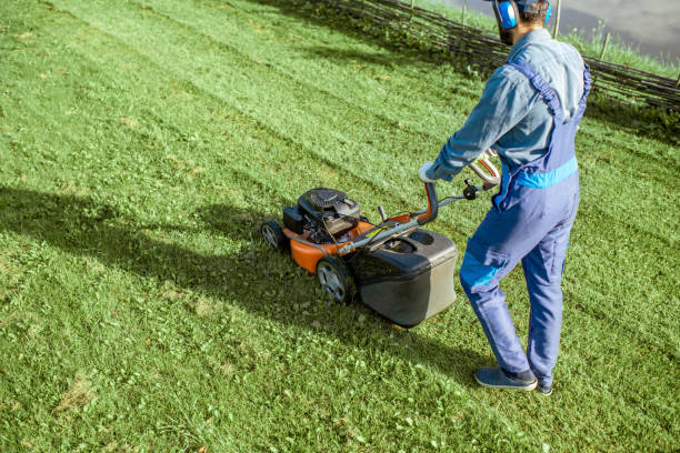 istock Gardener working with lawn mower on the backyard 1175170472
