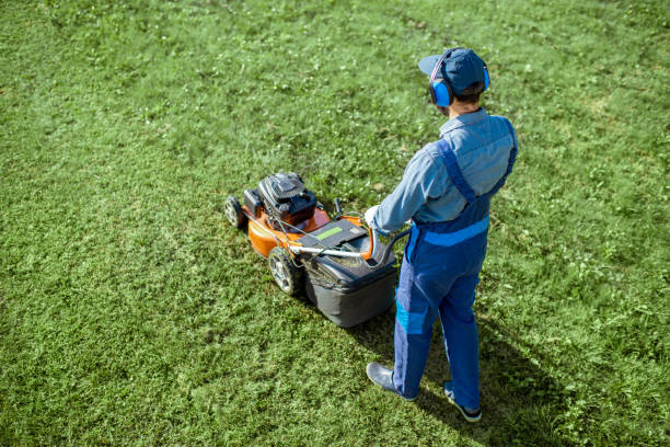 istock Gardener working with lawn mower on the backyard 1175171010