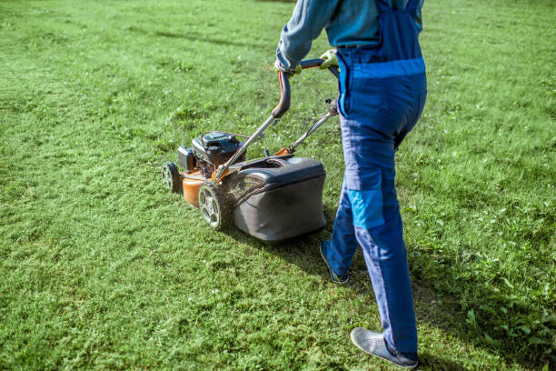 istock Gardener cutting grass with lawn mower 1175171307