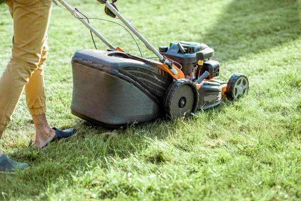 istock Gardener cutting grass with lawn mower 1175171588