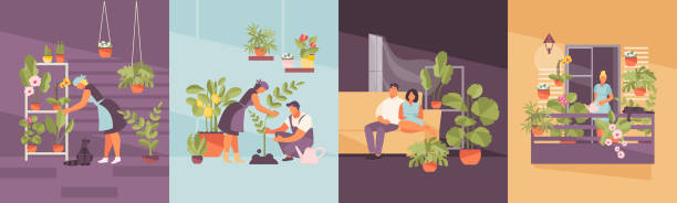 ilustrações, clipart, desenhos animados e ícones de jogo home do vetor do jardim - greenhouse house built structure green