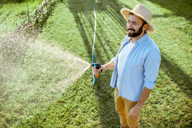 istock Man watering green lawn 1175172299