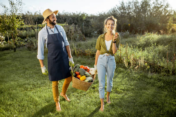 istock Couple with fresh vegetables in the garden 1175172673