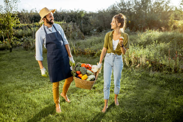 istock Couple with fresh vegetables in the garden 1175172714