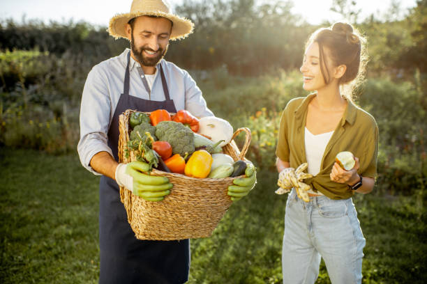 istock Couple with fresh vegetables in the garden 1175172728