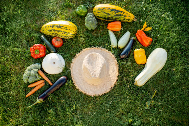 Vegetables and straw hat on the grass