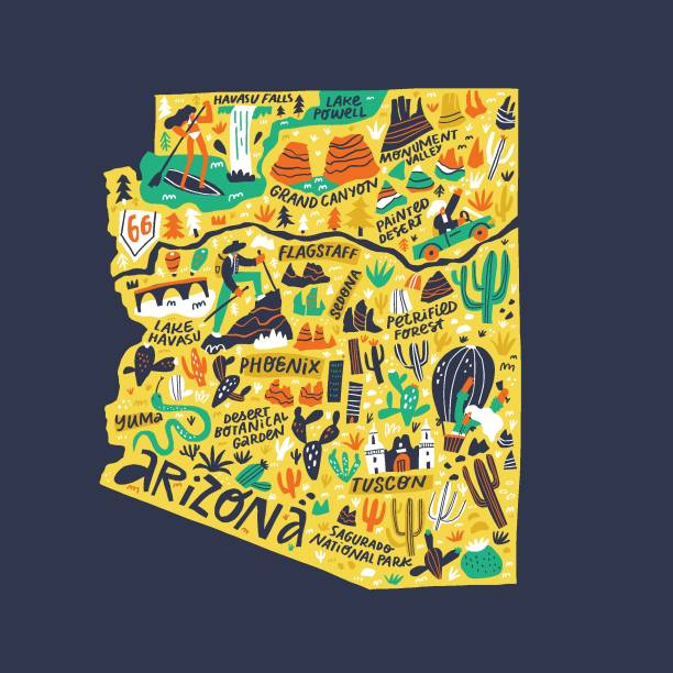 ilustraciones, imágenes clip art, dibujos animados e iconos de stock de ilustración vectorial plana infográfica de arizona dibujada a mano. mapa de garabatos cómico del estado americano aislado sobre fondo azul oscuro. rutas de viaje de arizona, puntos de referencia con nombres de ciudades que presentan imágenes prediseña - para state illustrations