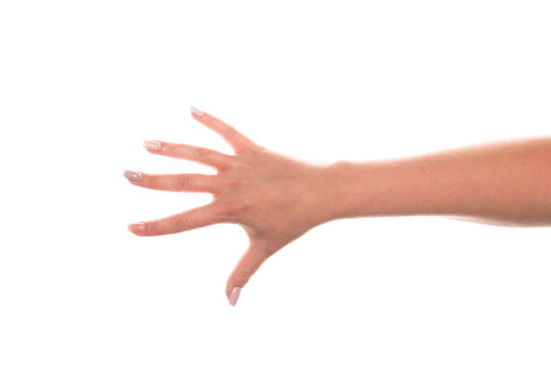 istock Woman hand with beautiful manicure isolated on white background, clipping path 1175176203