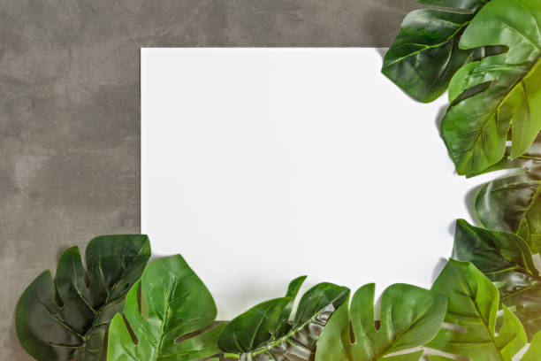 istock white papaer and green leaves 1175176431