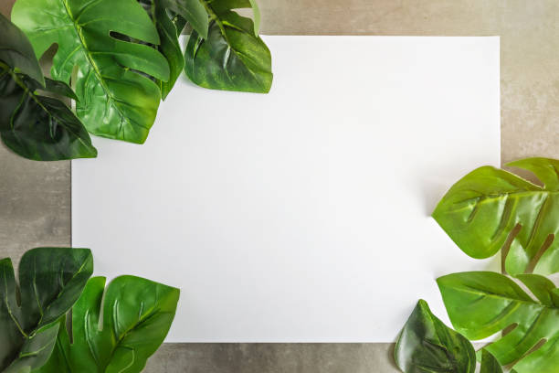 istock white papaer and green leaves 1175176537