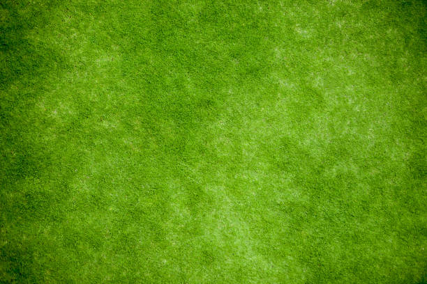 herbe verte, vue de dessus de pelouse - green grass photos et images de collection