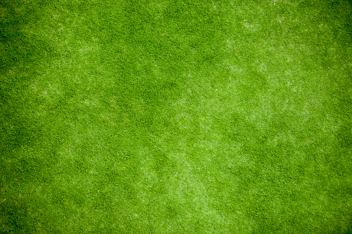 Green grass, lawn top view